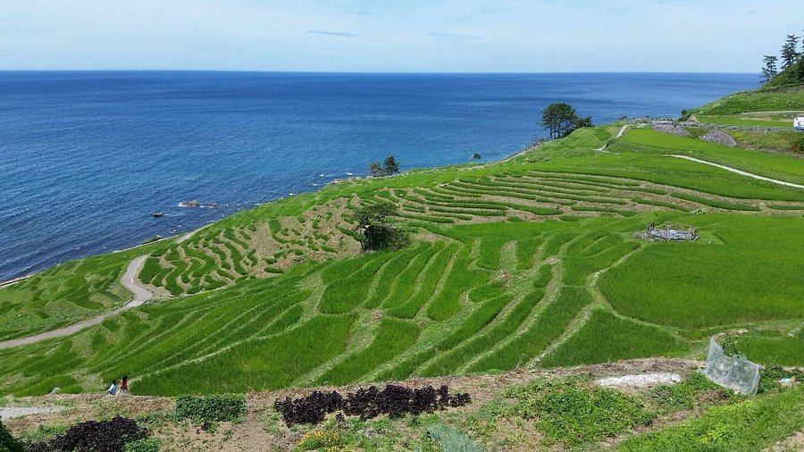🏞️ 길의 휴게소 센마이다 포켓 파크(미치노에키 센마이다 포켓토 파쿠) 이미지 5